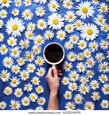 Floral summer background. A mug of coffee in a woman's hand on a blue background with chamomile or daisies. Hello summer. The concept of the arrival of summer mood and heat. Flat lay composition.