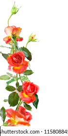  floral vertical frame of red roses isolated on white background