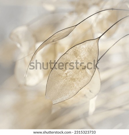 

Floral wall art design with light silver and gold detail, light blue and yellow soft blurred background. Image of a bouquet of beautiful white dry leaves in pastel colors.