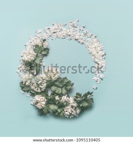 Similar – White Flowers Composing on light blue