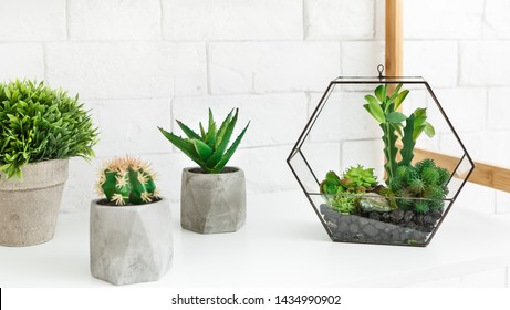 Florarium vase with succulent plants and cactuses in concrete pots on shelf at white brick wall background.
