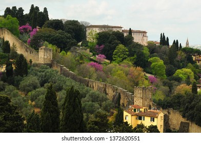 Florence, April 2019: Forte di Belvedere in Florence in Italy, taken from Piazzale Michelangelo on a spring day with purple flowered trees. Italy.