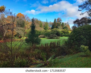 Florence Court, Co. Fermanaagh , Northern Ireland- 11 November 2018. Beautiful Day In The Florence Court Parkland 