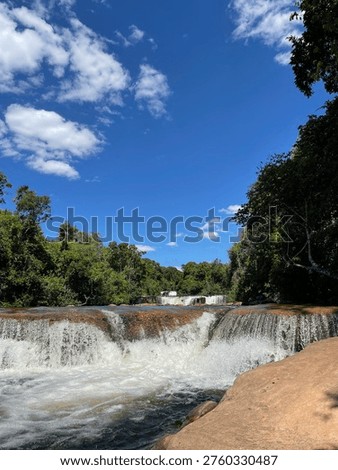 florest and a lot of waterfall