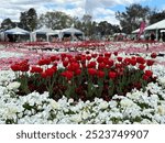 Floriade. Canberra. A festival of spring, sunshine and flowers.