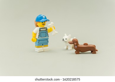 Lego New Dog Sitter Walker Animal Lover Girl Minifigure with Pug and Bone 