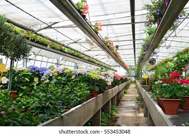 Floriculture Greenhouses