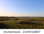 Florida Bay Marsh land at Bald Point Florida Gulf Alligator Point