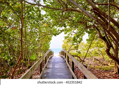 Florida Bonita Bay Barefoot Beach Walk Way In USA