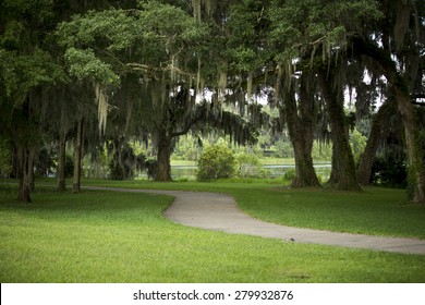 Florida evenings are great even if you are not by any beach. This green way wraps around a local artificial pond in Tallahassee, FL. 