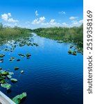 Florida Keys Key Largo Isla Morada Beach nature palm trees United States America ocean 