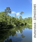 Florida panhandle preservation and pond of water