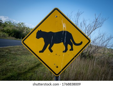 Florida Panther Crossing Sign In Everglades Wilderness