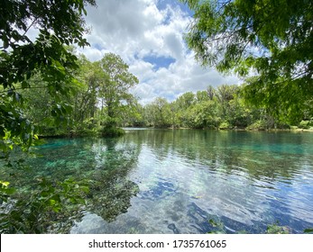 Florida Silver Springs State Park