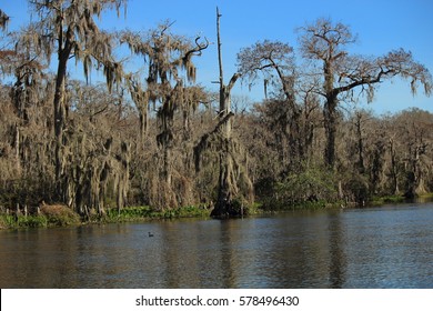 Florida Spring Landscape Stock Photo 578496430 | Shutterstock