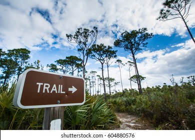 Florida State Park - Seabranch Park, Stuart, FL