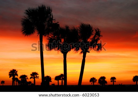 florida sunset