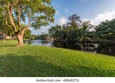 FLORIDA, USA: Backyard View Showing Lake. 