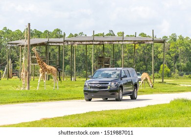 53 West palm beach zoo Images, Stock Photos & Vectors | Shutterstock