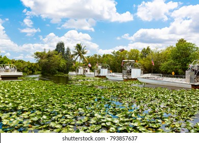 Florida Wetland, Airboat Ride At Everglades National Park In USA. Popular Place For Tourists, Wild Nature And Animals.