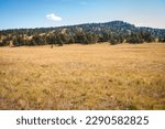 Florissant Fossil Beds National Monument in Colorado