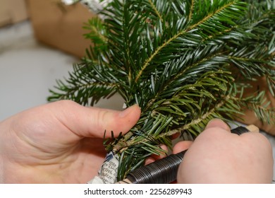 Florist bind  fir branch to real Advent wreath - closeup craft