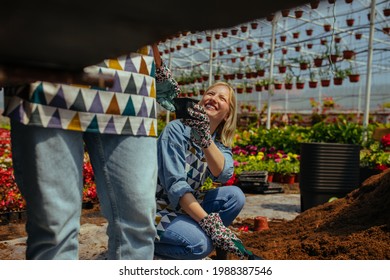 Florist Couple Planting Flowers In Greenhouse