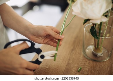 Florist Cutting Flower Stems - Stock Photo