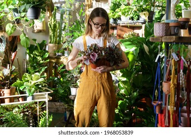 Florist In Greenhouse. Female Gardener Hold Potted Plants For Sale In Flower Shop. Young Domestic Plants Store Owner Busy At Work. Taking Care Of Houseplants. Small Business And Home Gardening Concept