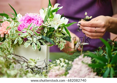 Similar – Female hands holding flower vase with wild flowers