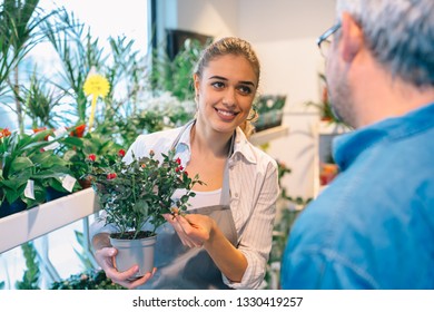 Similar Images, Stock Photos & Vectors of Young woman working as