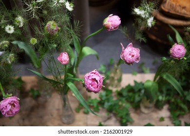 Florist Shop Window. Beautiful Decoration Of Luxurious Pink Tulip Flowers In Bottle, Lighting. Showcase Window Of Floral Shop With Atmospheric Lights. Dark Exquisite Stage Photo. Selective Focus 