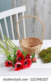 Florist At Work: How To Make Adorable Mother's Day Gift With Red Anemone Flowers, Moss And Wicker Basket. Step By Step, Tutorial.