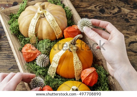 Florist at work: how to make home decoration with pumpkins, moss and physalis. Step by step, tutorial. 