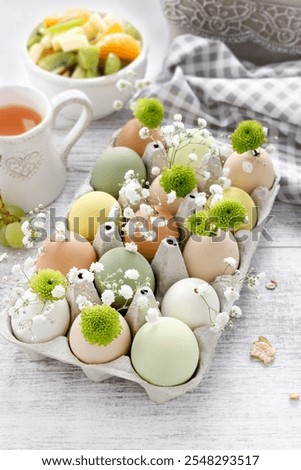 Florist at work: How to make simple easter floral arrangement with ordinary paper egg box, chrysanthemum santini flowers, gypsophila paniculata twigs and moss. Step by step, tutorial.