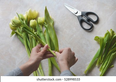 Florist at work. Woman making flower composition bouquet of tulips. Overhead view - Powered by Shutterstock