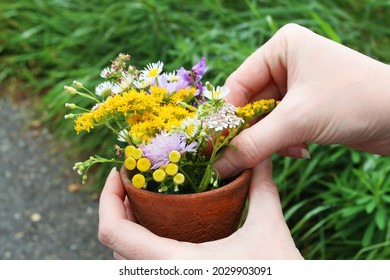 Florist At Work: Woman Shows How To Make A Simple Floral Home Decorations Using Wild Flowers, Just Like That, During The Walk Through The Meadow. Step By Step, Tutorial. 