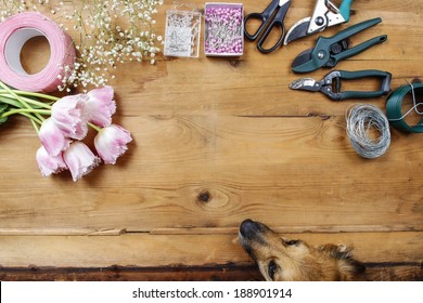 Florist workplace: dog looking at flowers and accessories. Top view - Powered by Shutterstock