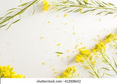 Florist, Worktable With Wild Yellow Flowers, On White Table