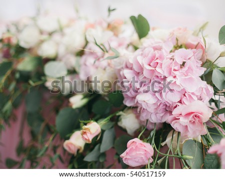 floristics composition, pink hydrangea