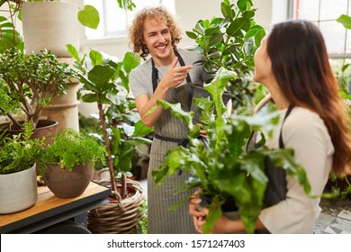 Florists Team In The Garden Center With Green Plants As Delivery Service