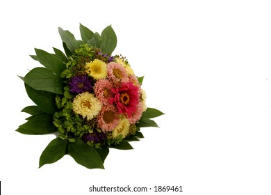 flovers on the withe bakcround