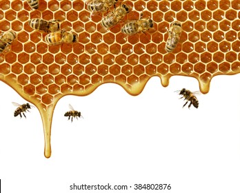 flow of sweet honey on the white background. Isolated.