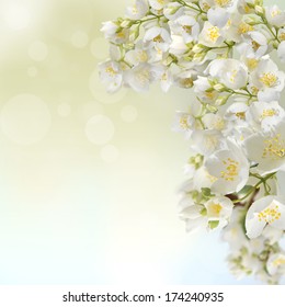 25,821 Pink jasmine flower Images, Stock Photos & Vectors | Shutterstock