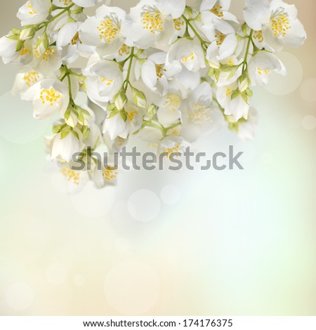 Flower Background Frame