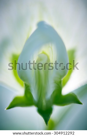 Similar – Image, Stock Photo a glimpse of spring