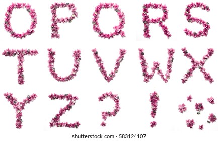 Flower Alphabet On A White Background
