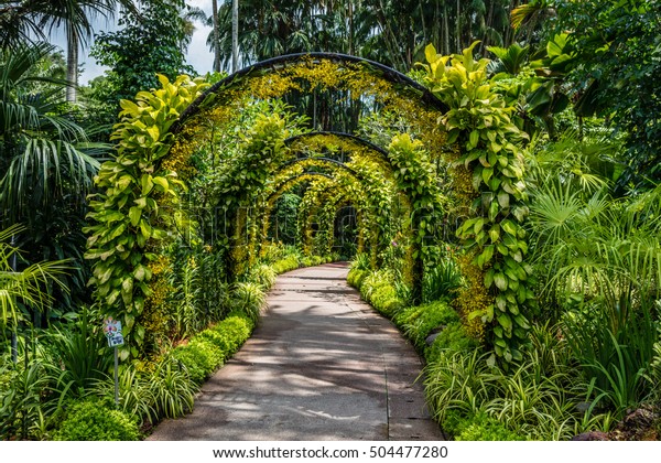 Flower Archway Singapore Botanic Gardens Republic Stock Photo (Edit Now ...