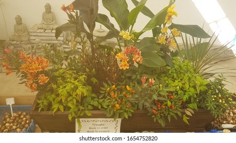 Flower Arrangement At Garden Centre Uk