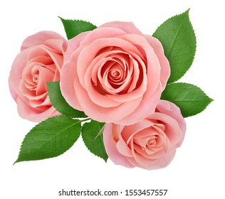 Flower arrangement made with roses isolated on a white background with clipping path.